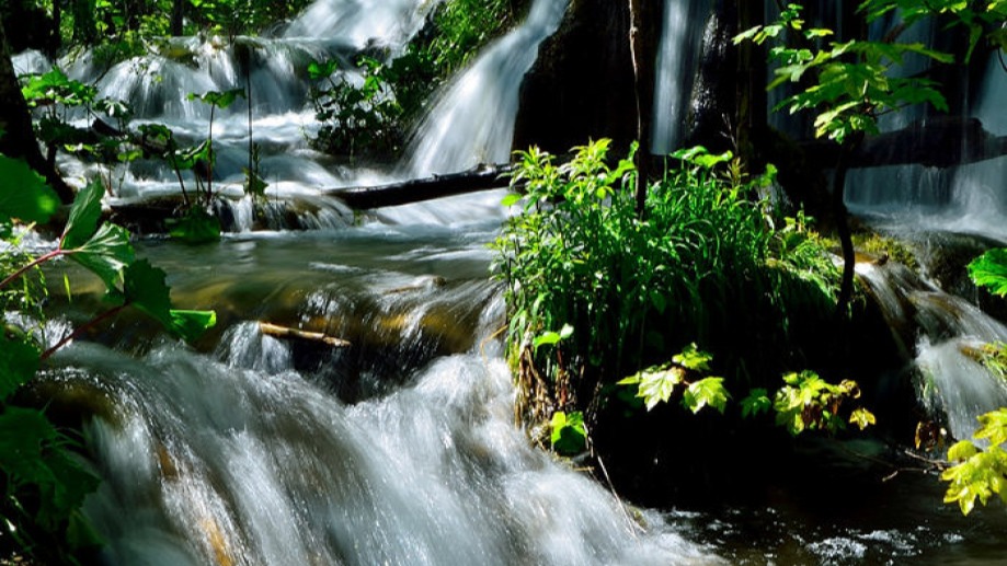 Plitvička Jezera National Park - one day bus excursion